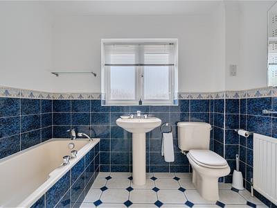 Picture 23